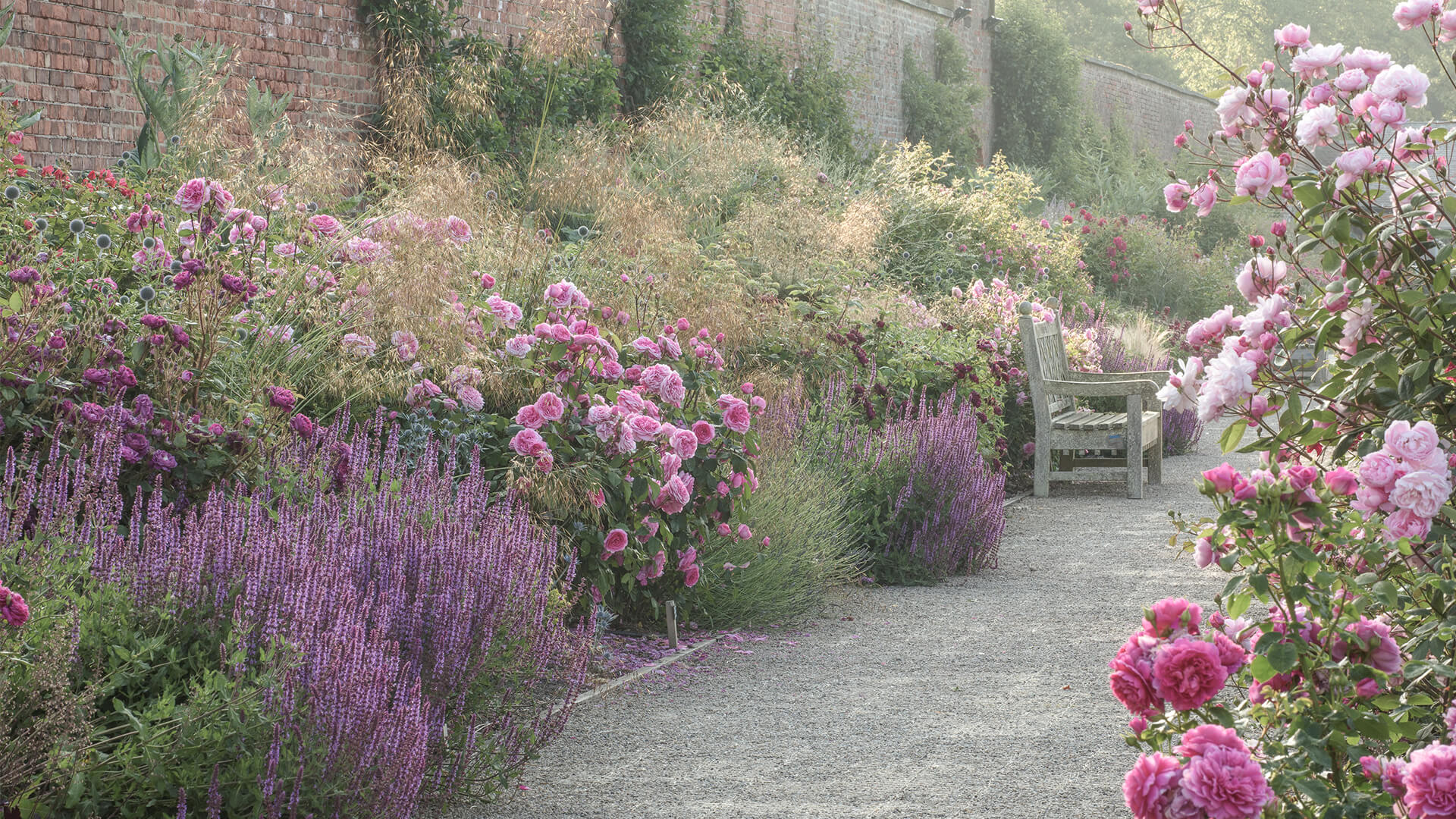 <p>Explore the rose garden and discover 3000 David Austen Roses, bursting with colour, plus a fascinating selection of trees and shrubs, carefully highlighted with graceful water features and meandering paths.</p>
